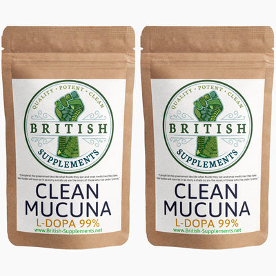 Mucuna Extract (99% L-Dopa) + Uptake Blend - British Supplements