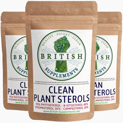 Clean plant sterols 95% Phytosterol - British Supplements