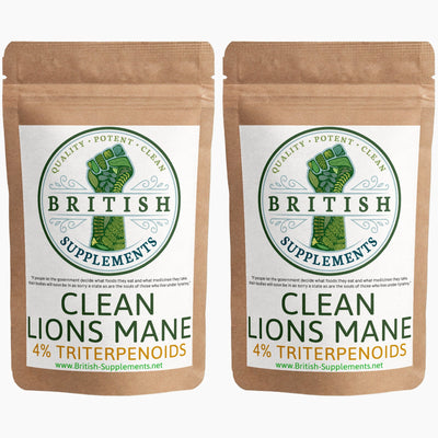 Lions Mane Extract Triterpenoids Version + Uptake Blend - British Supplements