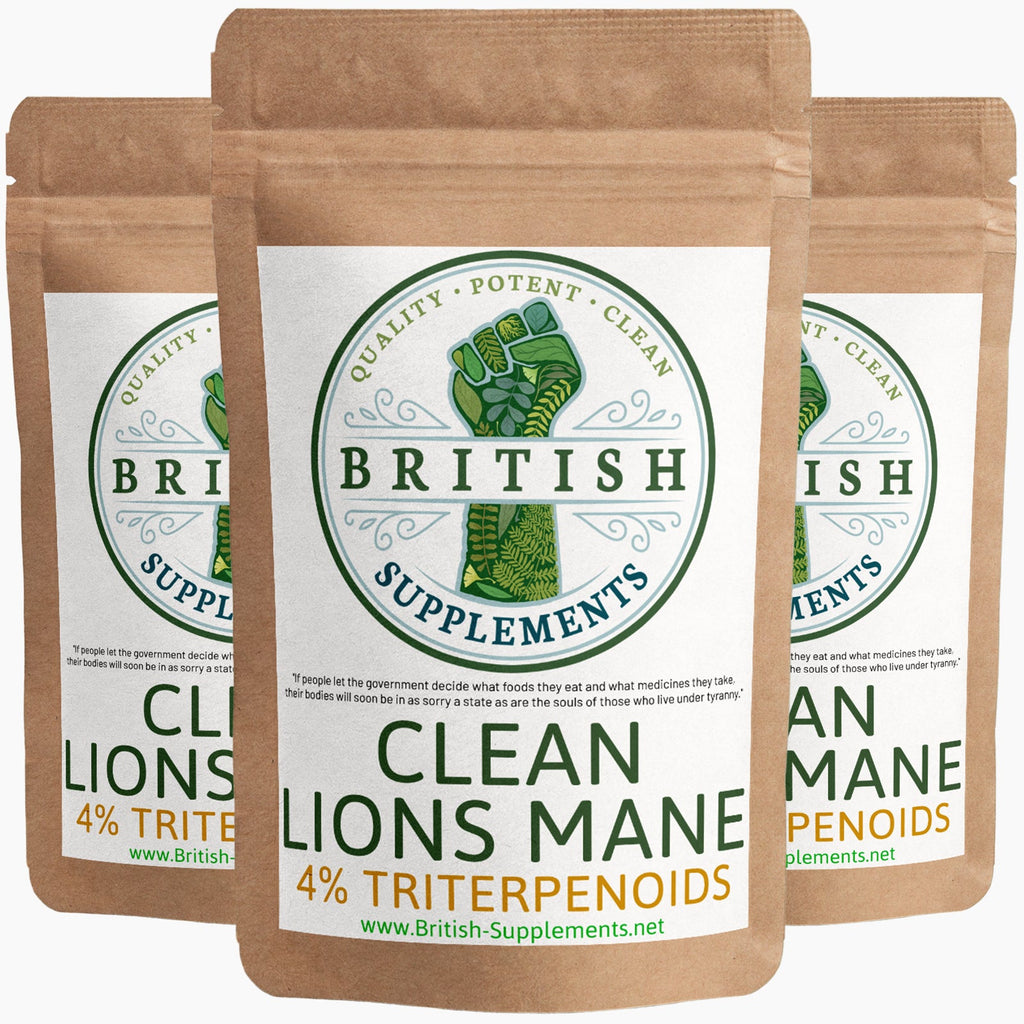 Lions Mane Extract Triterpenoids Version + Uptake Blend - British Supplements