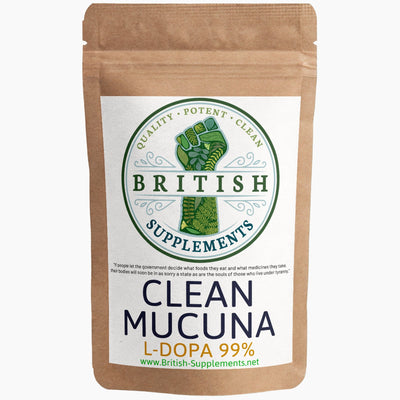 Mucuna Extract (99% L-Dopa) + Uptake Blend - British Supplements